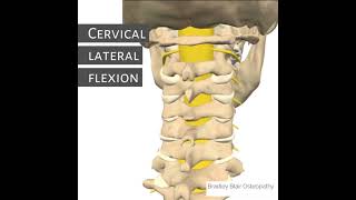 Cervical lateral flexion [upl. by Rbma]