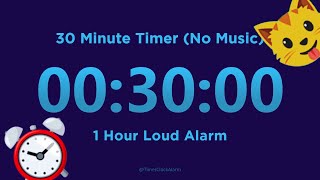 30 minute Timer Countdown No Music  1 Hour Loud Alarm [upl. by Nreval]