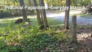 PRACTICAL PAGANISM Harvesting Monkshood [upl. by William673]