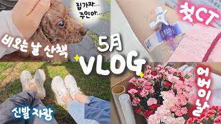 🍀일상모음vlog 인생 첫 CT검사 받은날🏥feat조영제 부작용🥹 비오는 날의 산책  건강검진  나이키 줌 보메로5  짜투리 브이로그 [upl. by Lalib535]