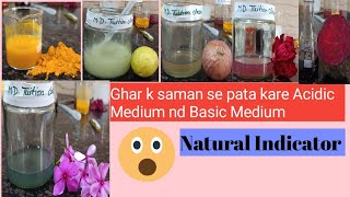 Acid Base Indicator Experiment Ab ho gya h aasan Ghar pr pata lagana Acidic Medium or Basic Medium [upl. by Mahsih]