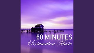 60 Minutes of Relaxation Music  1 Hour Song to Fall Asleep Fast Wellness Sleep Track [upl. by Buford]