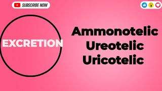 Excretion Ammonotelic Ureotelic and Uricotelic Excretion Ammonotelic urea uricacid biology [upl. by Yraccaz234]