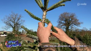 Vivez la Vendée  Chez des producteurs de sapins bio [upl. by Oilla]