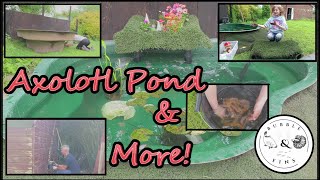 Axolotl Pond amp More [upl. by Ikaz]