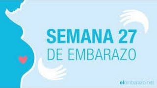 26 semanas 3 días de Embarazo [upl. by Allesor]