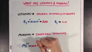 Cofactors Coenzymes and Vitamins [upl. by Porta]