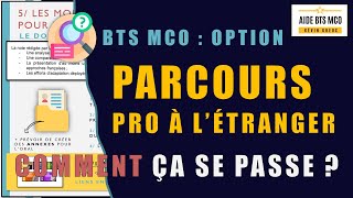 BTS MCO  EF2  loption du PARCOURS PRO à létranger  Comment ça se passe [upl. by Frye415]