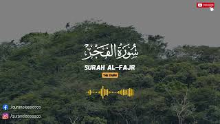 Beautiful Quran Recitation Of Surah Al Fajr By Omar Hisham Al Arabi  سورة الفجر [upl. by Ylerebmik]