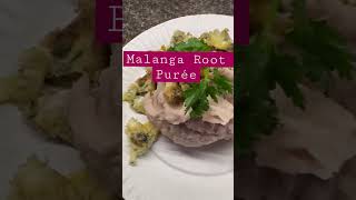 Best Malanga Root PuréeLectin Free Recipes [upl. by Nobell]