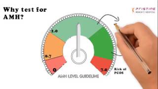 AMH AntiMullerian Hormone  What is AMH Test Impacts Treatments Risks Levels [upl. by Leyes553]