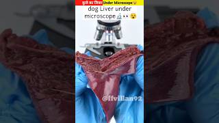 कुत्तेकालिवरUnderMicroscope😵shortsyoutubeshortsshortvideosMrBeast [upl. by Philbert]