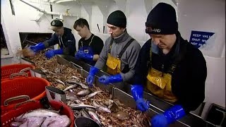 Trawlermen The Great Prawn Hunt [upl. by Ssac]