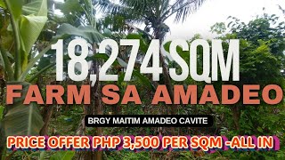 18 Hectares Farm sa Amadeo Cavite Maraming Fruit Bearing Trees For Sale🔥 [upl. by Htedirem]