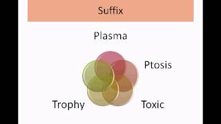 Medical Terminology Part 1Intro to Root Prefix Suffix [upl. by Odysseus]