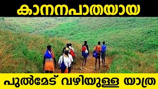 ശബരിമലയിലേക്കുള്ള കാനനപാത  Sabarimala [upl. by Giess966]