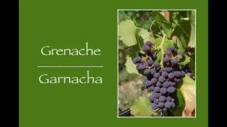 Winecast Grenache [upl. by Graves]