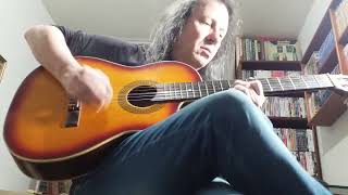 Dont Waste My TimeDrifting Away  Status Quo Cover  By Jorge Raabe [upl. by Tani]