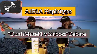 quotDuahMutef1 v Sirboss DebatequotA1B1A Haplotype [upl. by Kristel]