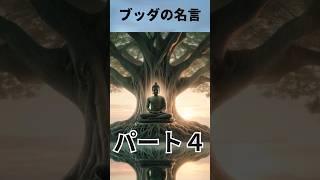 ブッダの名言パート4 名言 名言シリーズ 刺さる名言 今日の名言 人生 ブッダ ブッダの言葉 [upl. by Snashall]