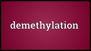 Demethylation Meaning [upl. by Wanda]