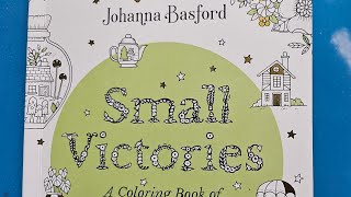 Book review and flip through of Johanna Basford s book Small Victories [upl. by Nwahsat535]