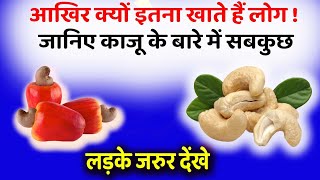 आखिर क्यूँ इतना ज्यादा खाते है लोग काजू जानकर हो जाएंगे हैरान  kaju ke fayde  Benefit Of Cashew [upl. by Tooley]