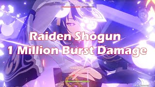 Raiden 1 Million Burst Damage [upl. by Mcgruter]