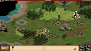 AOE 2HD 2vs2 Another Tower Rush against AI [upl. by Malinda]