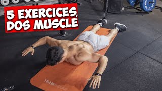 5 exercices pour un dos super musclé [upl. by Aerdnaz]