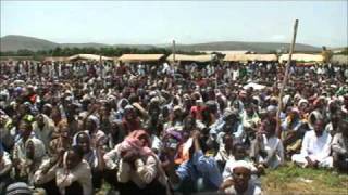 Shiekh Abdurahman Dawah in Dire Dawa [upl. by Yrhcaz253]