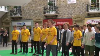 Guys and Dolls Flash Mob [upl. by Ynney645]