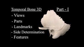 Temporal Bone anatomy 3d Part 1 Views Side determination features landmarks and Osteology [upl. by Lange]