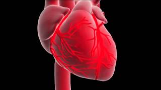 What is a myocardial infarction or heart attack [upl. by Oshinski77]