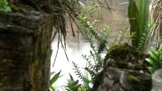 Punakaiki Blowholes and Pancake Rocks New Zealand [upl. by Gerstner]