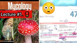 Basic mycology 🛑 LECTURE 1 Chap 47 Difference between fungi and bacteria hyphaeyt Lab diagnosis [upl. by Lubeck555]