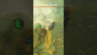 Zelda Tears of the Kingdom Stone Taluses are OP [upl. by Aiak]