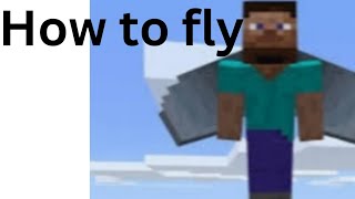 How to fly with Elytra in mobile [upl. by Nirrej280]