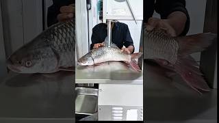 Watch a video of a beautiful yellow fish cut perfectly shorts fishlaver [upl. by Granny]