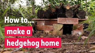 How to make a hedgehog house  Natural History Museum Audio Described [upl. by Siravrat]