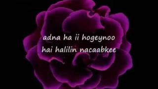 Somali Lyrics  Hees  Hab ku soo dheh cashaqa By Csbdi Diini [upl. by Anad746]