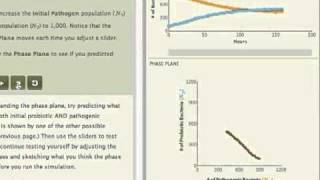 Competition Chapter in SimUText Ecology [upl. by Anitteb]