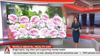 World Mental Health Day Bright lights big cities and supporting mental health [upl. by Llatsyrc]