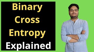 Binary Cross Entropy Explained  What is Binary Cross Entropy  Log loss function explained [upl. by Sagerman]