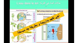 Les facteurs édaphiques  Les différentes formes d’eau dans le sol شرح بالداريجة [upl. by Ainotal615]