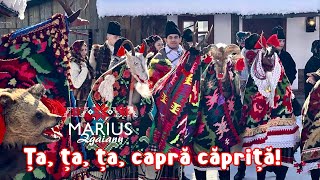 Marius Zgâianu Ța ța ța capră căpriță [upl. by Mehala]