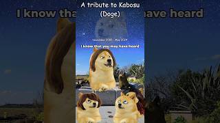 A tribute to Kabosu Doge [upl. by Afaw44]