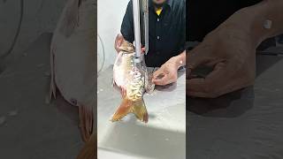 Red golden carp fish cutting skills super video shorts fishlaver [upl. by Nyladnohr]