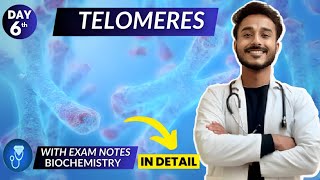 telomeres biochemistry  telomerase biochemistry  telomerase replication in eukaryotes biochemistry [upl. by Uriiah]