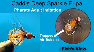 Caddis Deep Sparkle Pupa Bead Head Variant Fly Pattern  Adult Pharate Imitation [upl. by Yerroc]